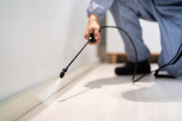 Rodent Entry Point Assessment in Madisonville