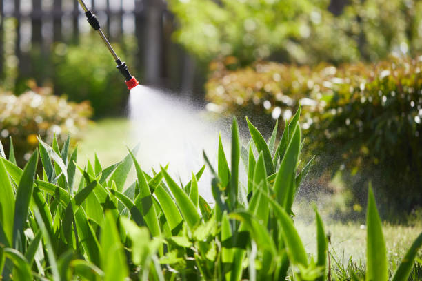 Tamper-Resistant Bait Stations for Rodents in Madisonville