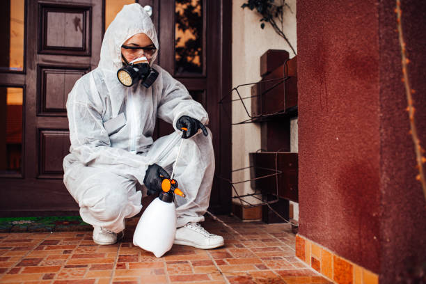 Attic and Crawl Space Rodent Treatment in Madisonville
