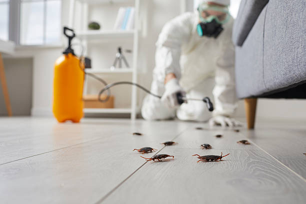 Commercial Rodent Management in Madisonville